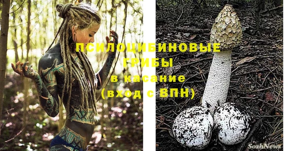 ешки Балахна