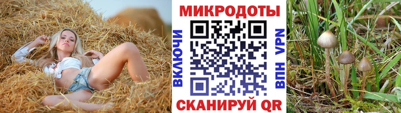 Псилоцибиновые грибы ЛСД  Ногинск 